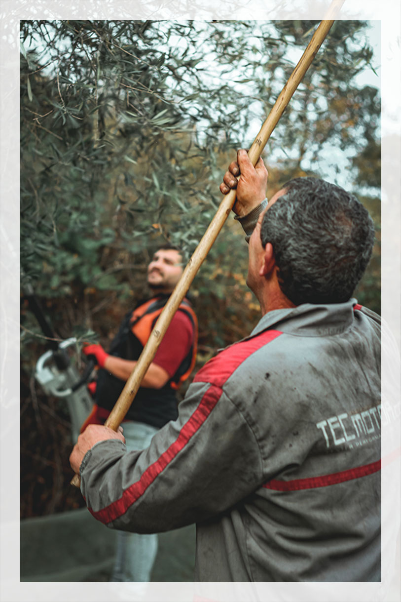 Culinaire roadtrip Umbrië