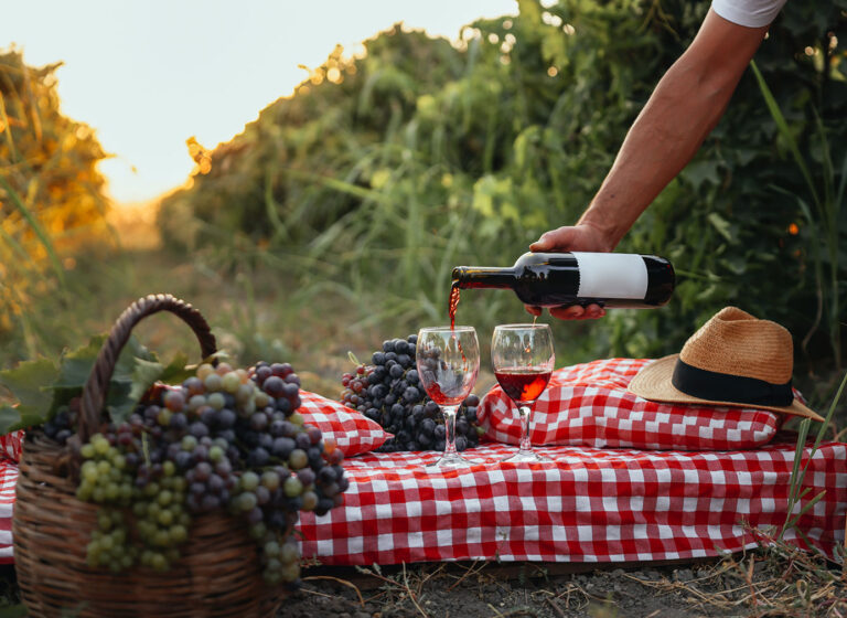 Picknicken in deze wijngaard kan op steenworp afstand van Florence